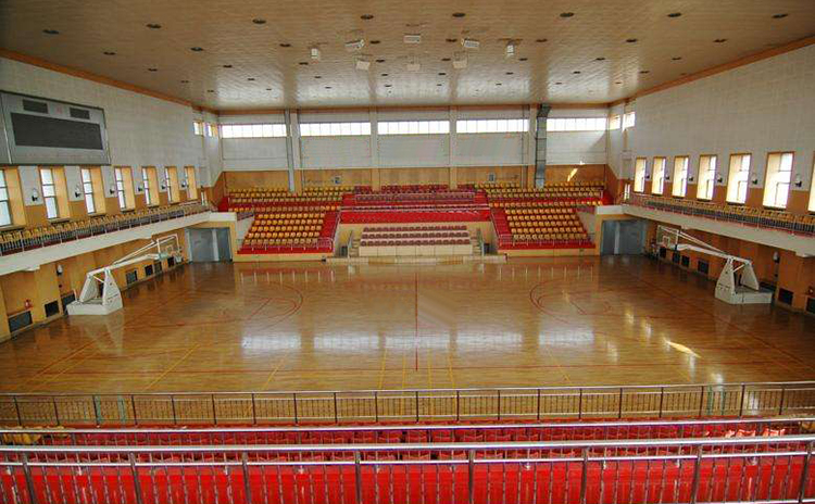 東莞某中學體育館吸音板工程 東莞某中學體育館吸音板工程